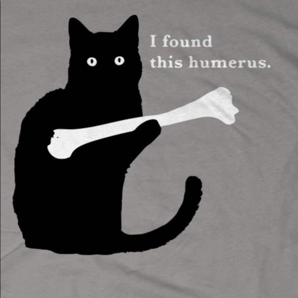 Meet your Posher, Jill